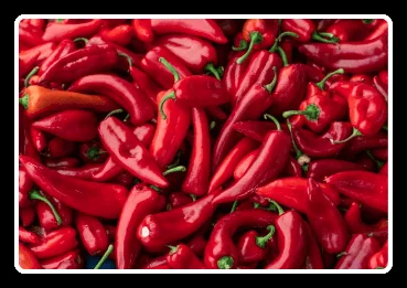 Andalusian Red Pepper