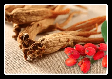 Berberine and Korean Red Ginseng