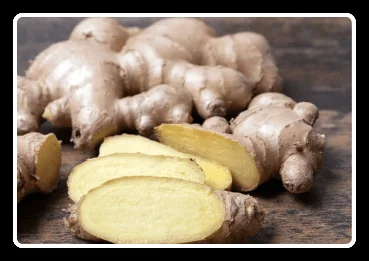 Himalayan Mountain Ginger for weight loss support